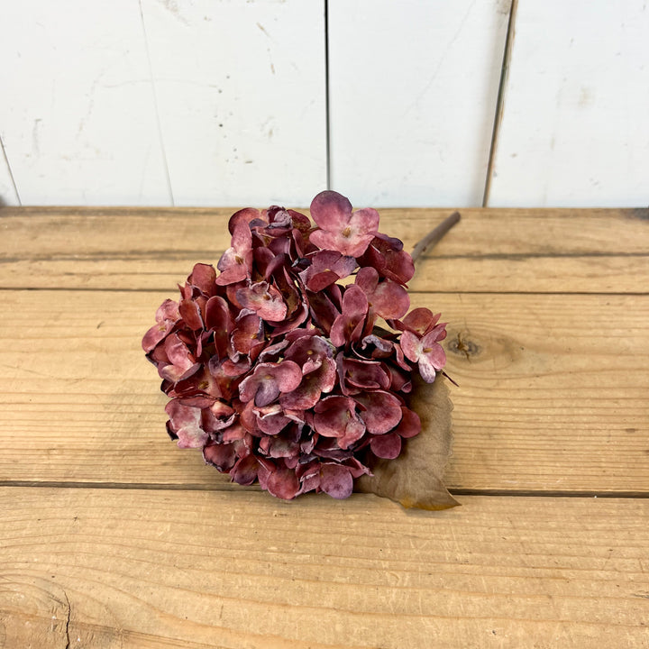 Hydrangea Stems