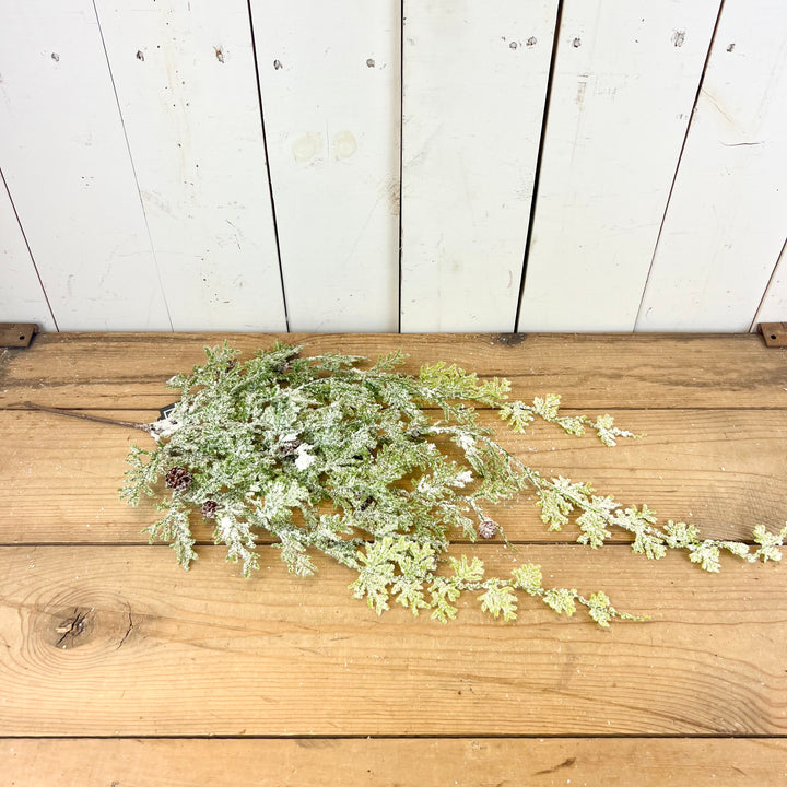 Frosted Fern Pinecone Collection