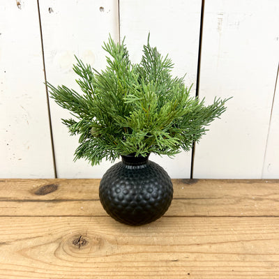 Cedar Bouquet