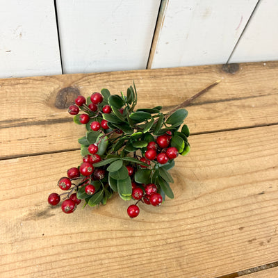Berry Stems