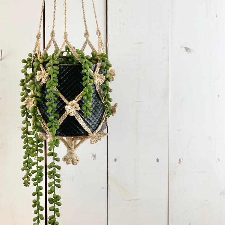 Tan Flower Macramé Hanger