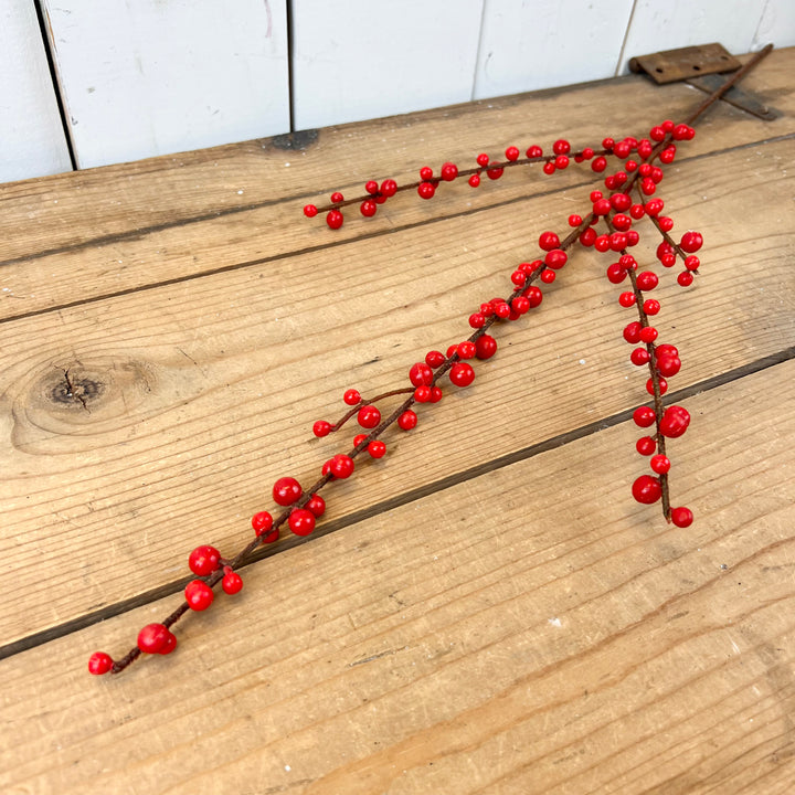 Red Berry Stem