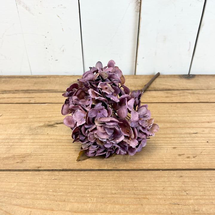 Hydrangea Stems
