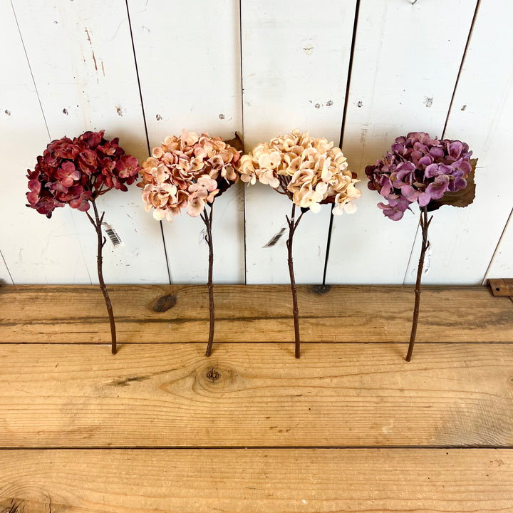 Hydrangea Stems