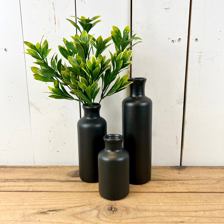 Privet Collection