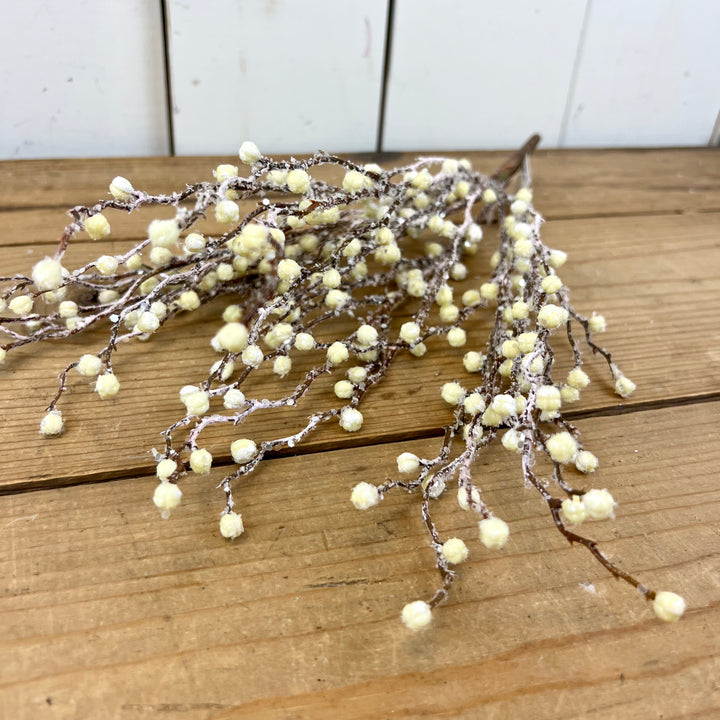 Glitter Cream Berries