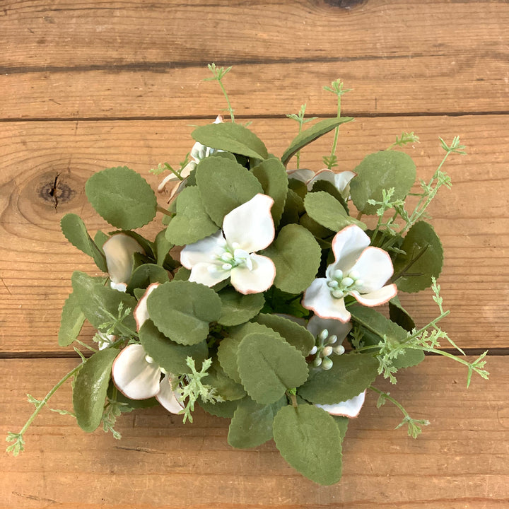 Dogwood Floral Collection