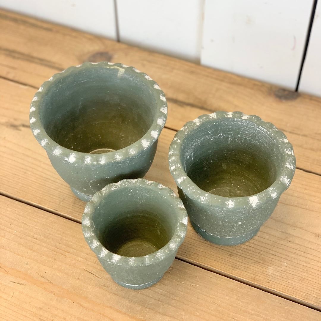 Green Scalloped Cement Pots