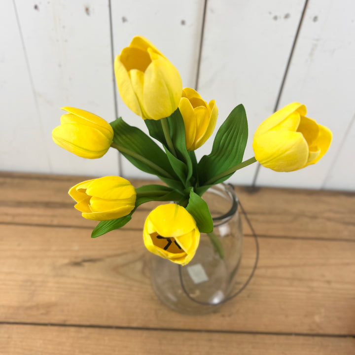 6 Stem Jumbo Tulip Bouquet