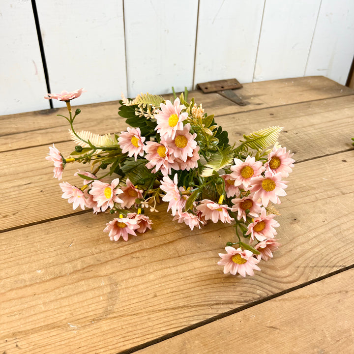 Daisy Bundles