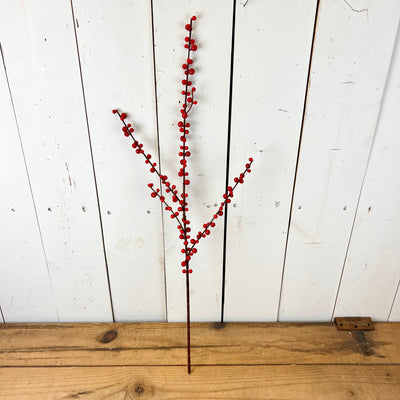 Red Berry Stem
