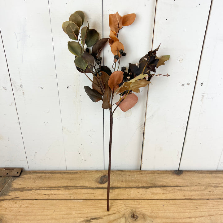 Fall Eucalyptus Collection
