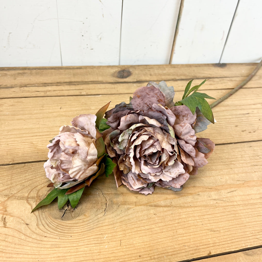 Peony Stems