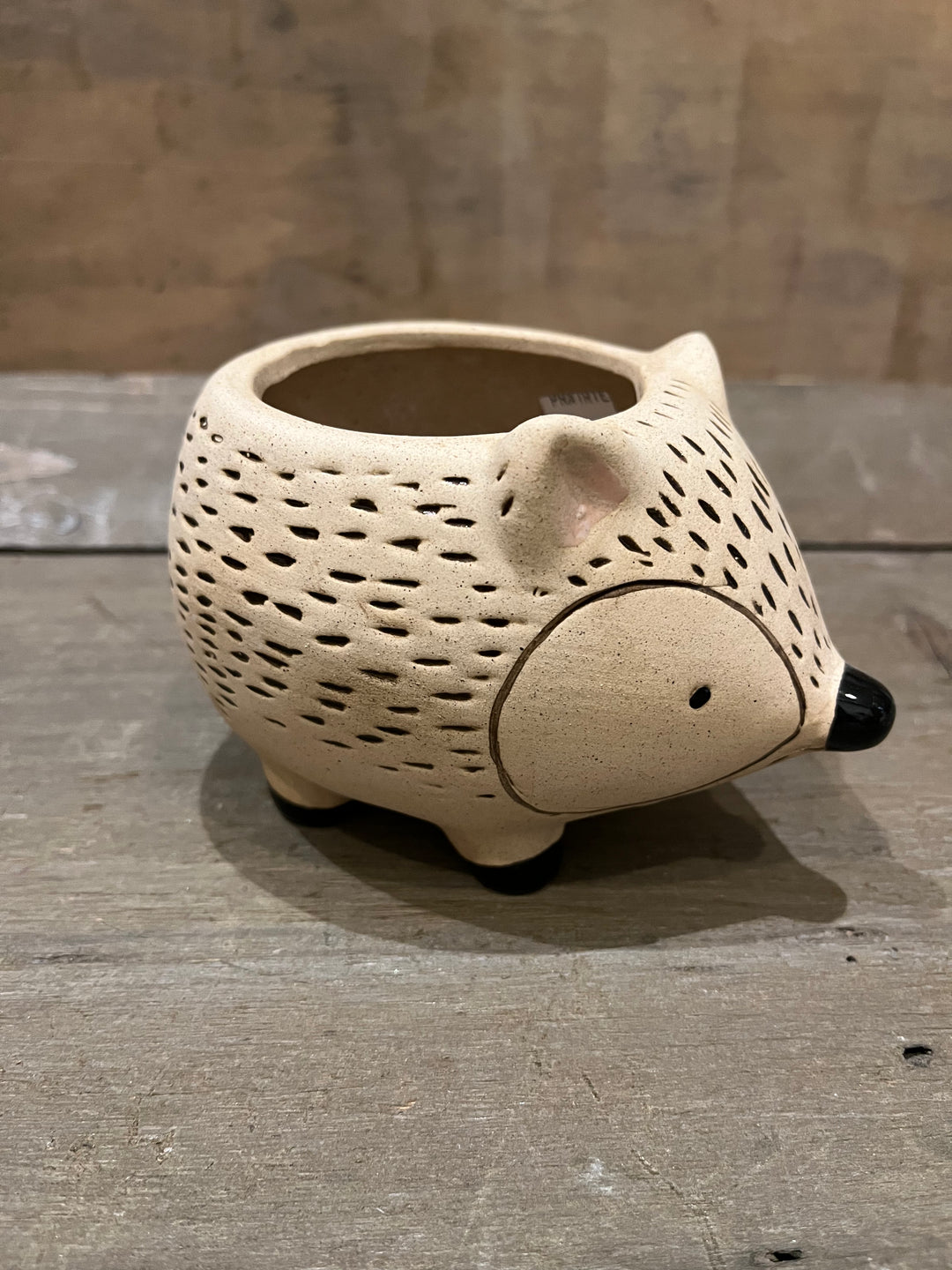 Kitschy Hedgehog Planter