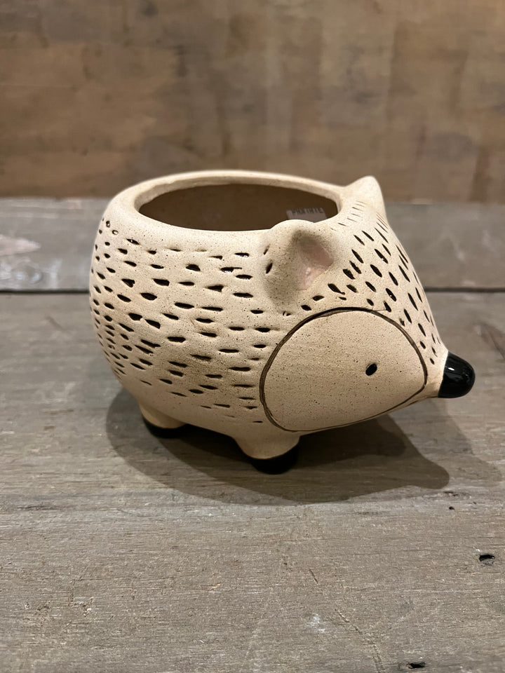 Kitschy Hedgehog Planter