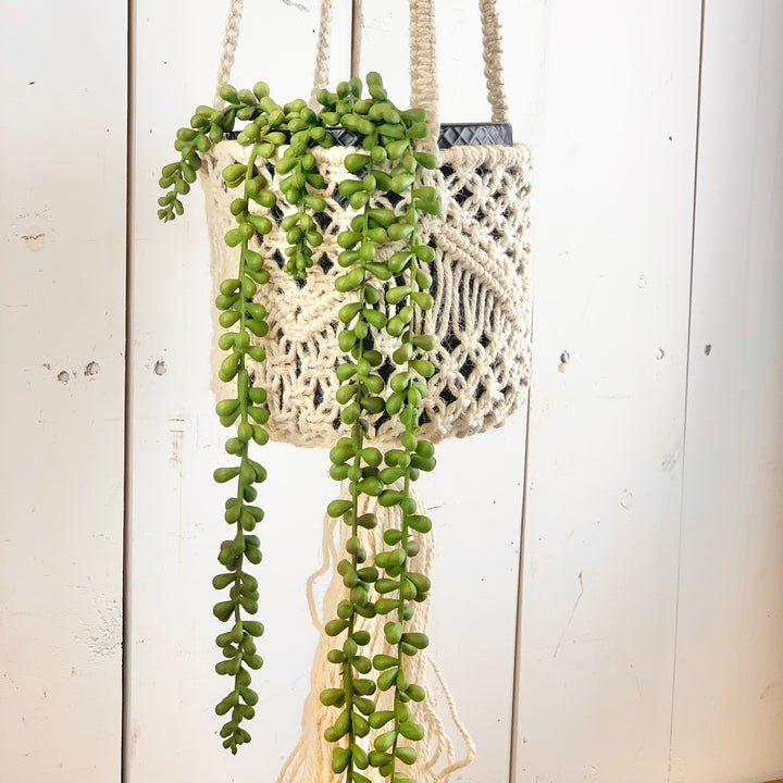 Ivory Macramé Basket Hanger