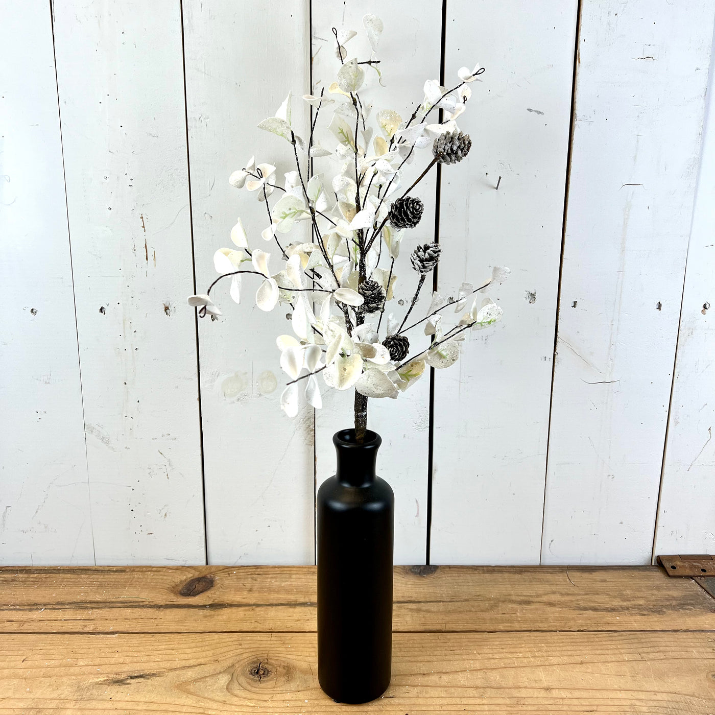 White Eucalyptus Collection
