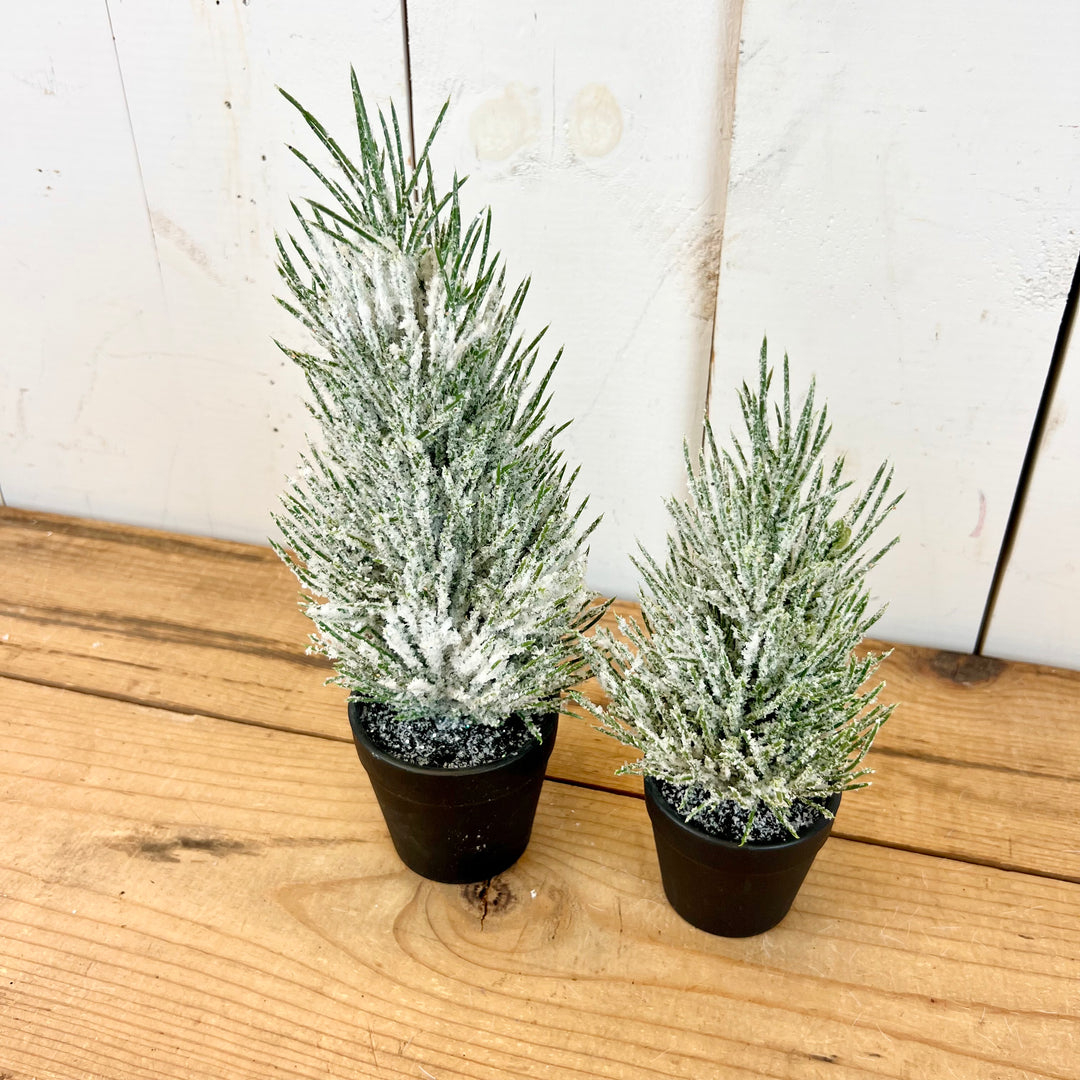 Small Flocked Potted Trees