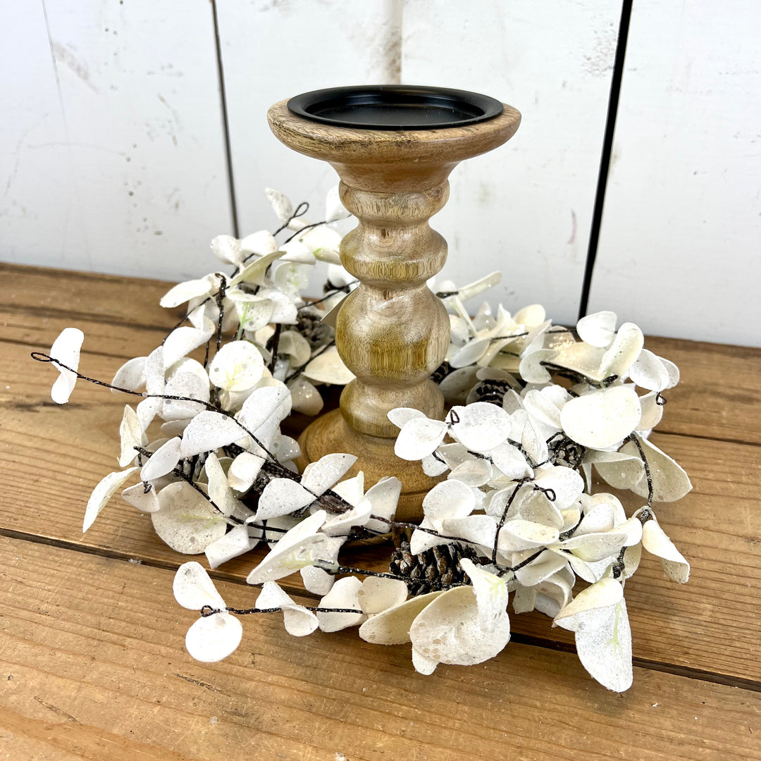 White Eucalyptus Collection