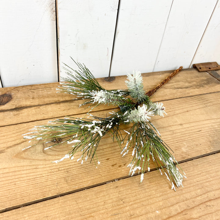 Frosted Mixed Pine Stem