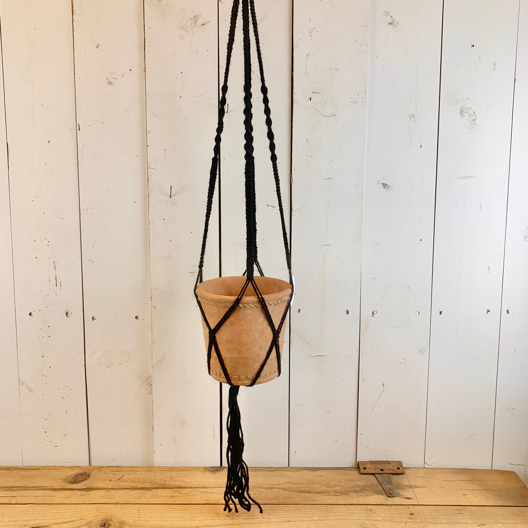 Black Crisscross Plant Hanger