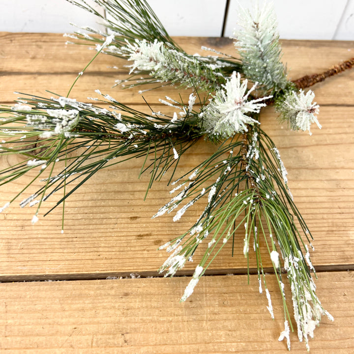 Frosted Mixed Pine Stem