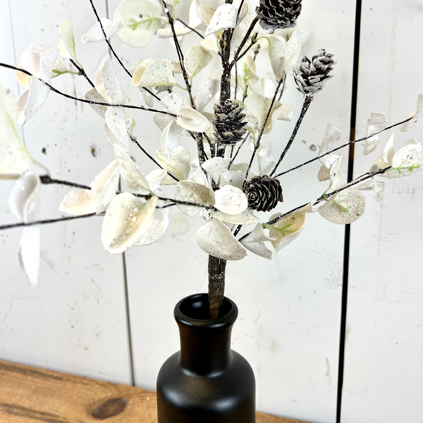 White Eucalyptus Collection