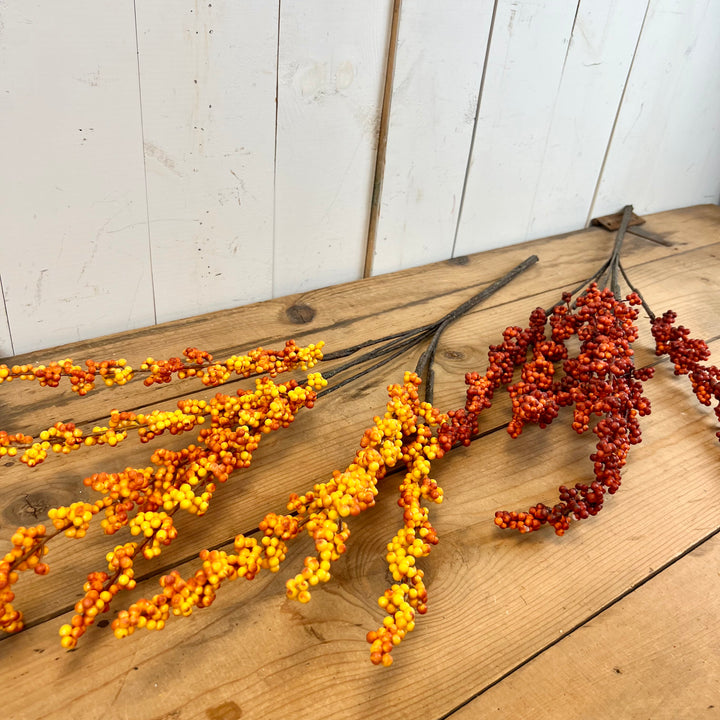 Long Berry Stems