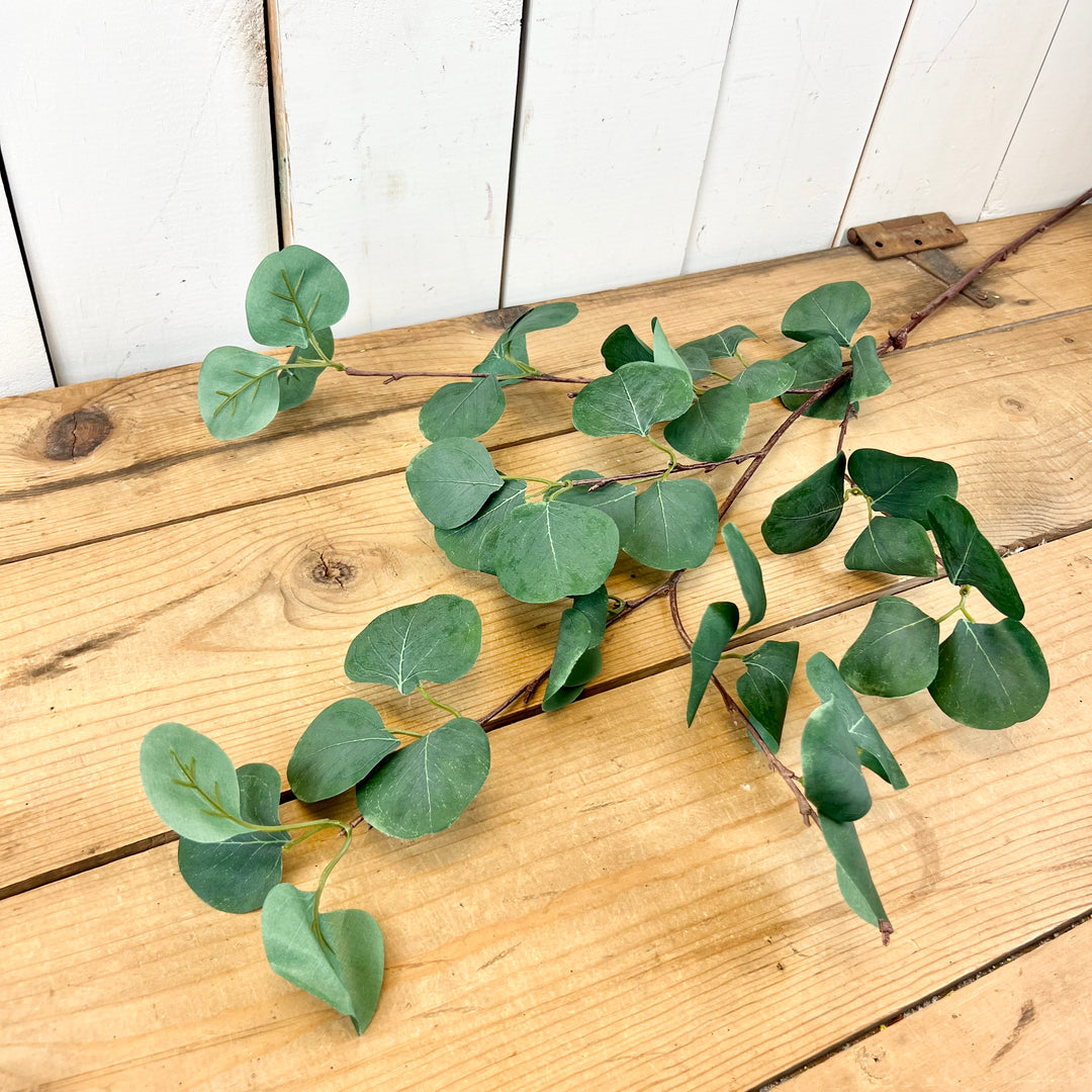Long Eucalyptus Stem