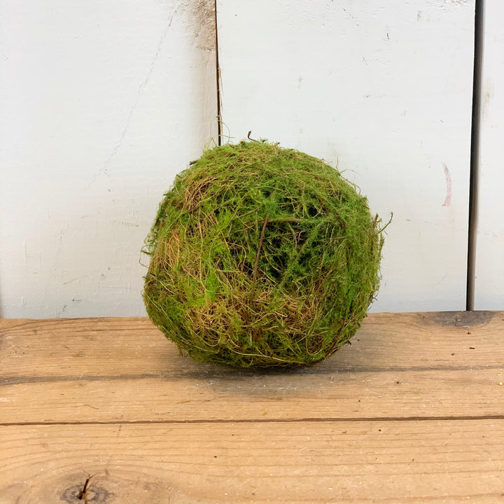 4" Moss Ball