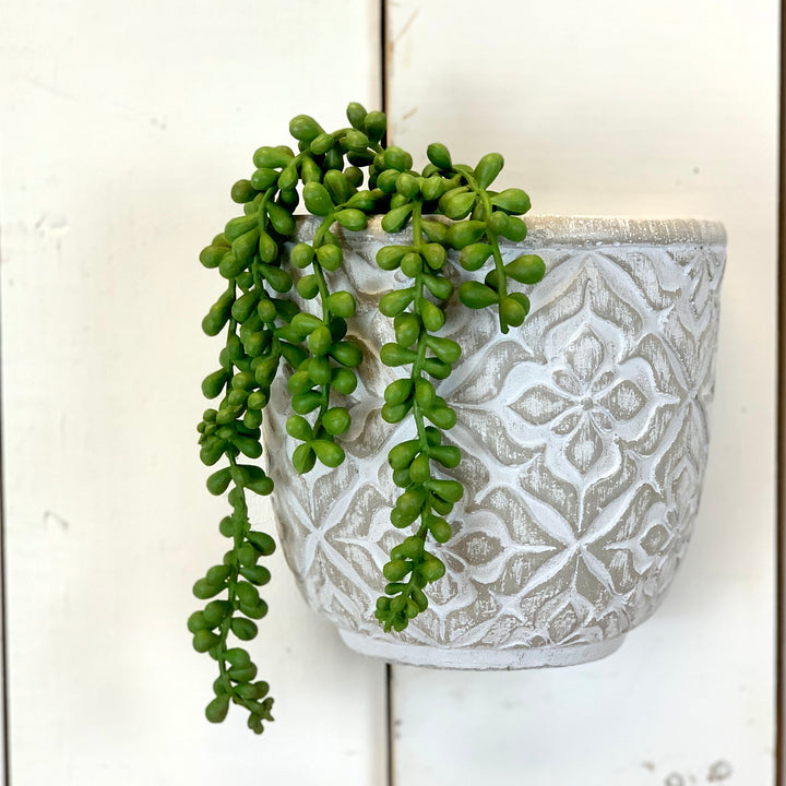 Small Hanging Succulent