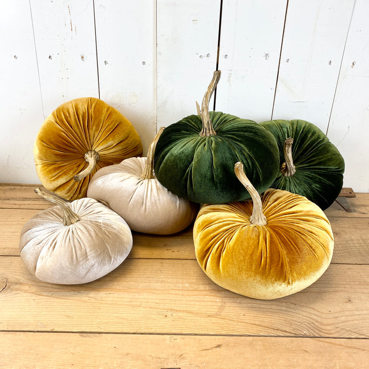 Velvet Pumpkins