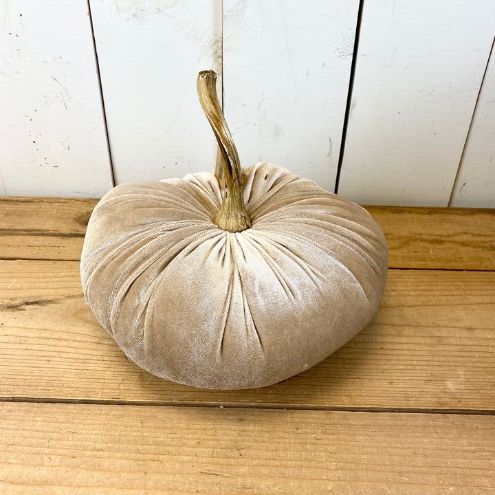 Velvet Pumpkins