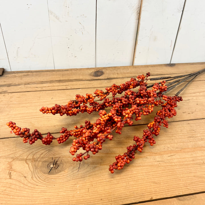 Long Berry Stems