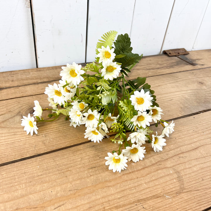 Daisy Bundles