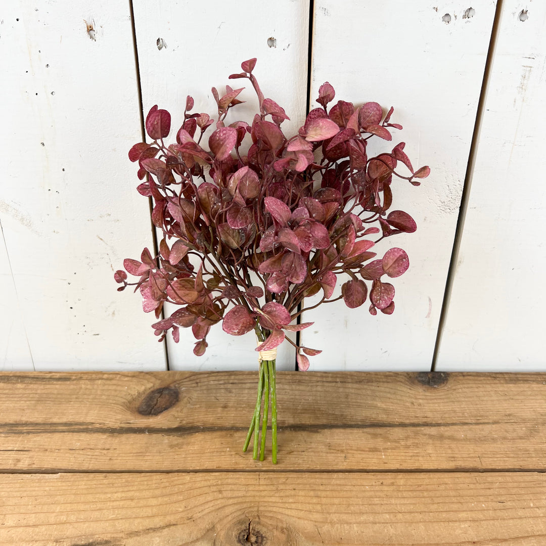 Eucalyptus Bundles