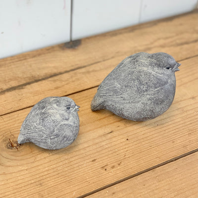 Grey Birds