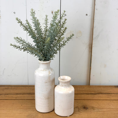 Dusty Rosemary Stem