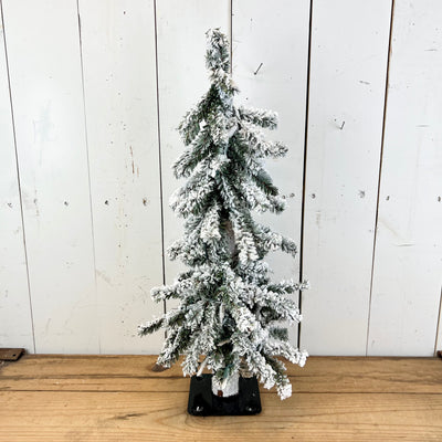 Lighted Flocked Pine Tree