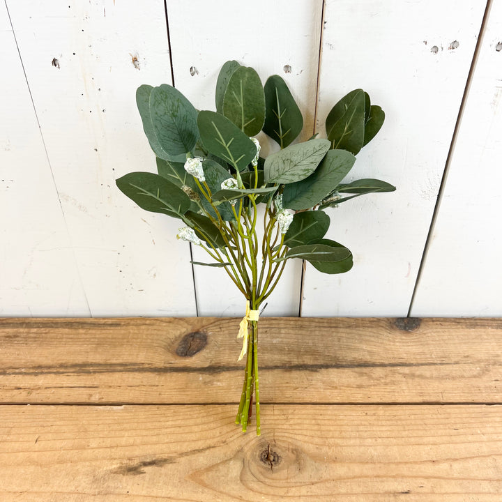 Eucalyptus Leafy Bundle