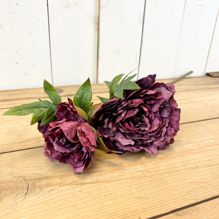 Peony Stems