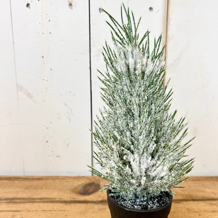 Small Flocked Potted Trees