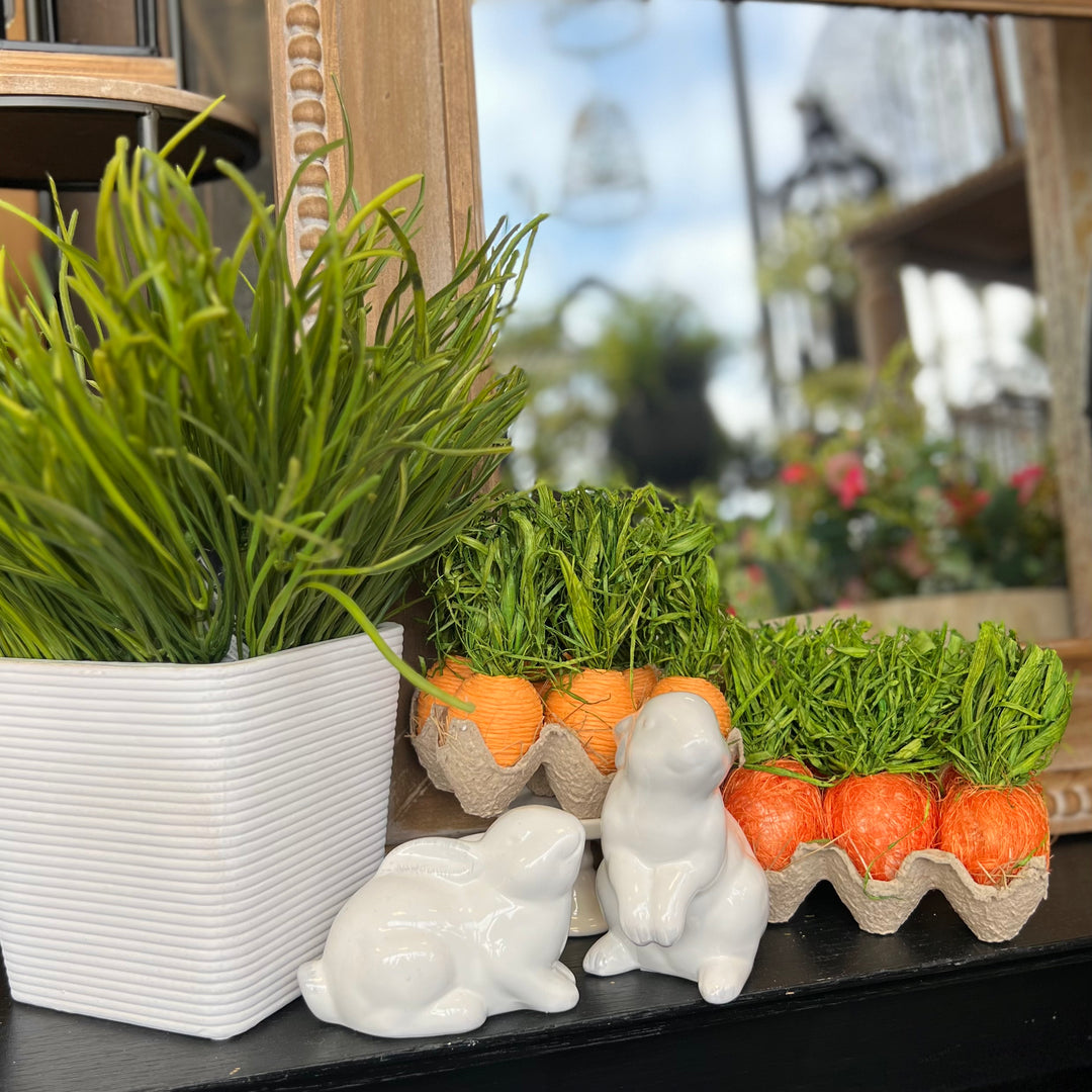 Handcrafted Carrots in Carton