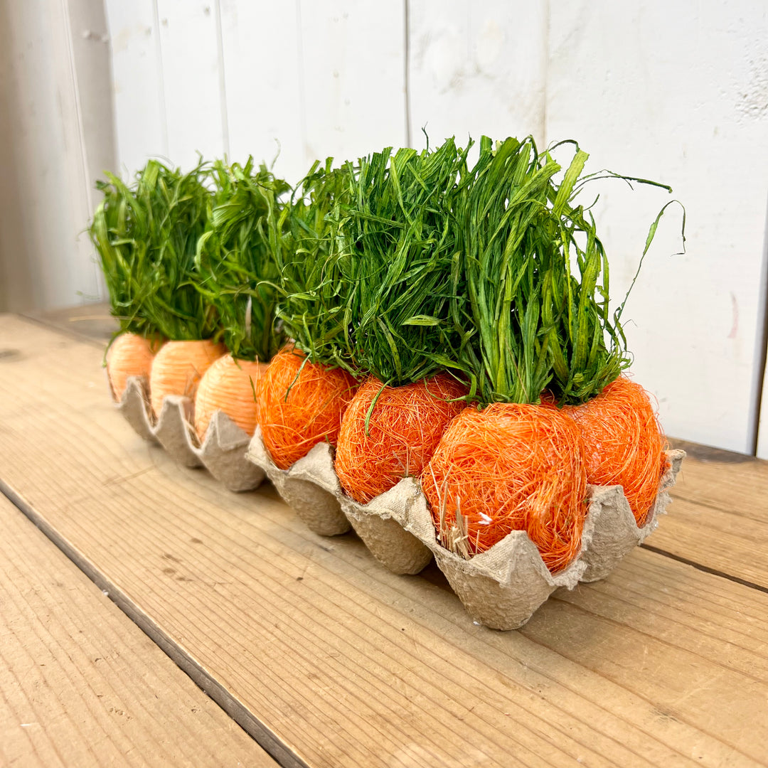 Handcrafted Carrots in Carton