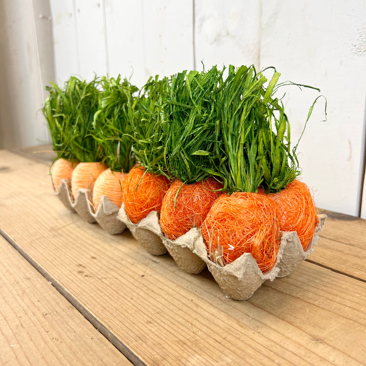 Handcrafted Carrots in Carton
