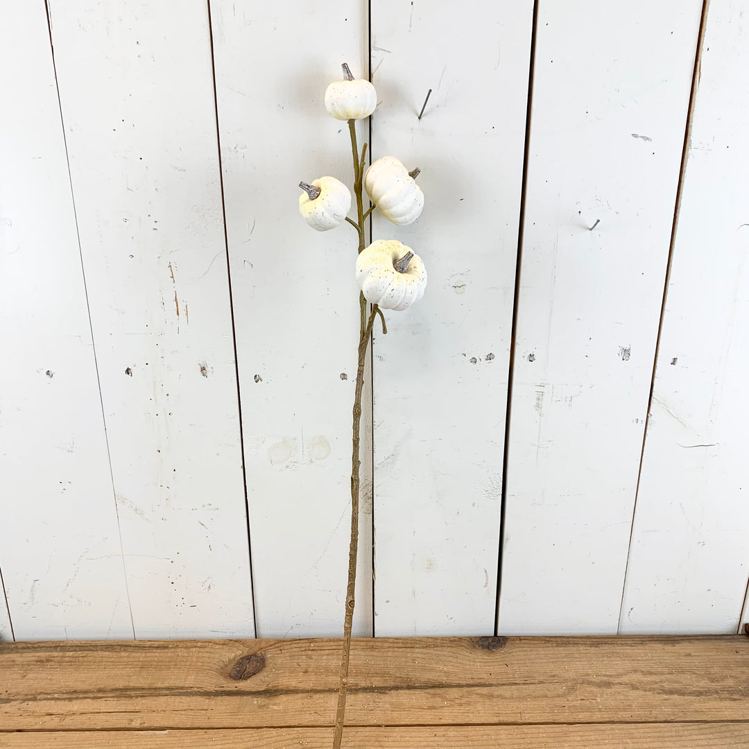 White Pumpkin Stem