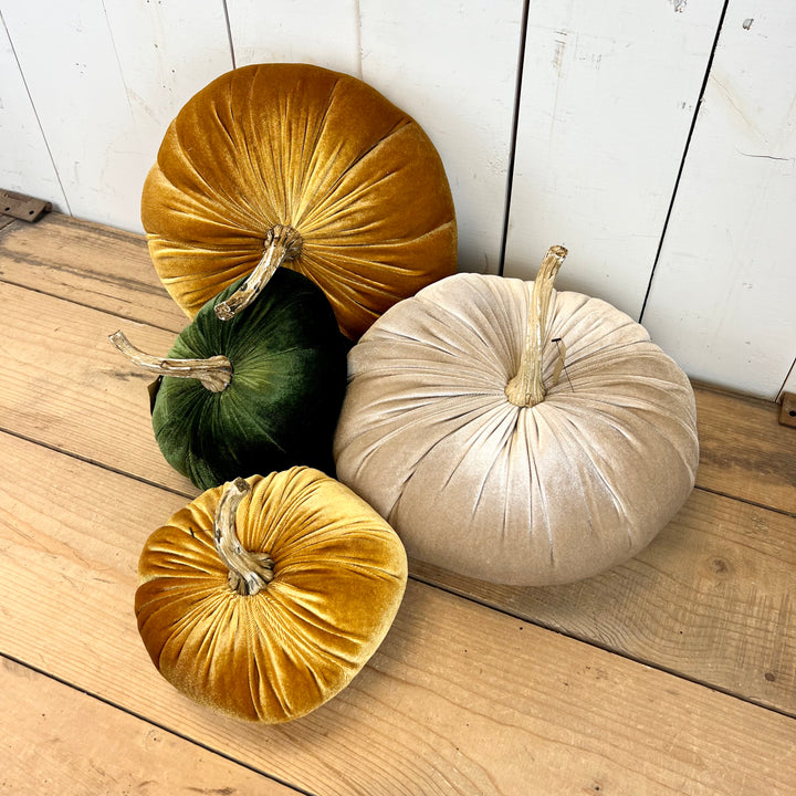 Velvet Pumpkins