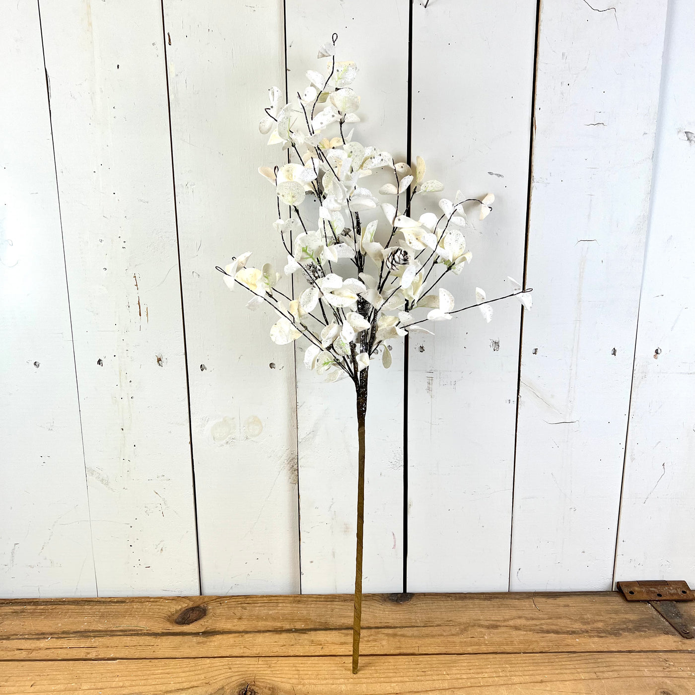 White Eucalyptus Collection