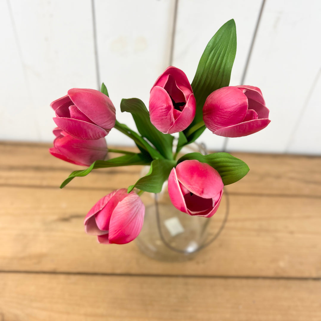 6 Stem Jumbo Tulip Bouquet