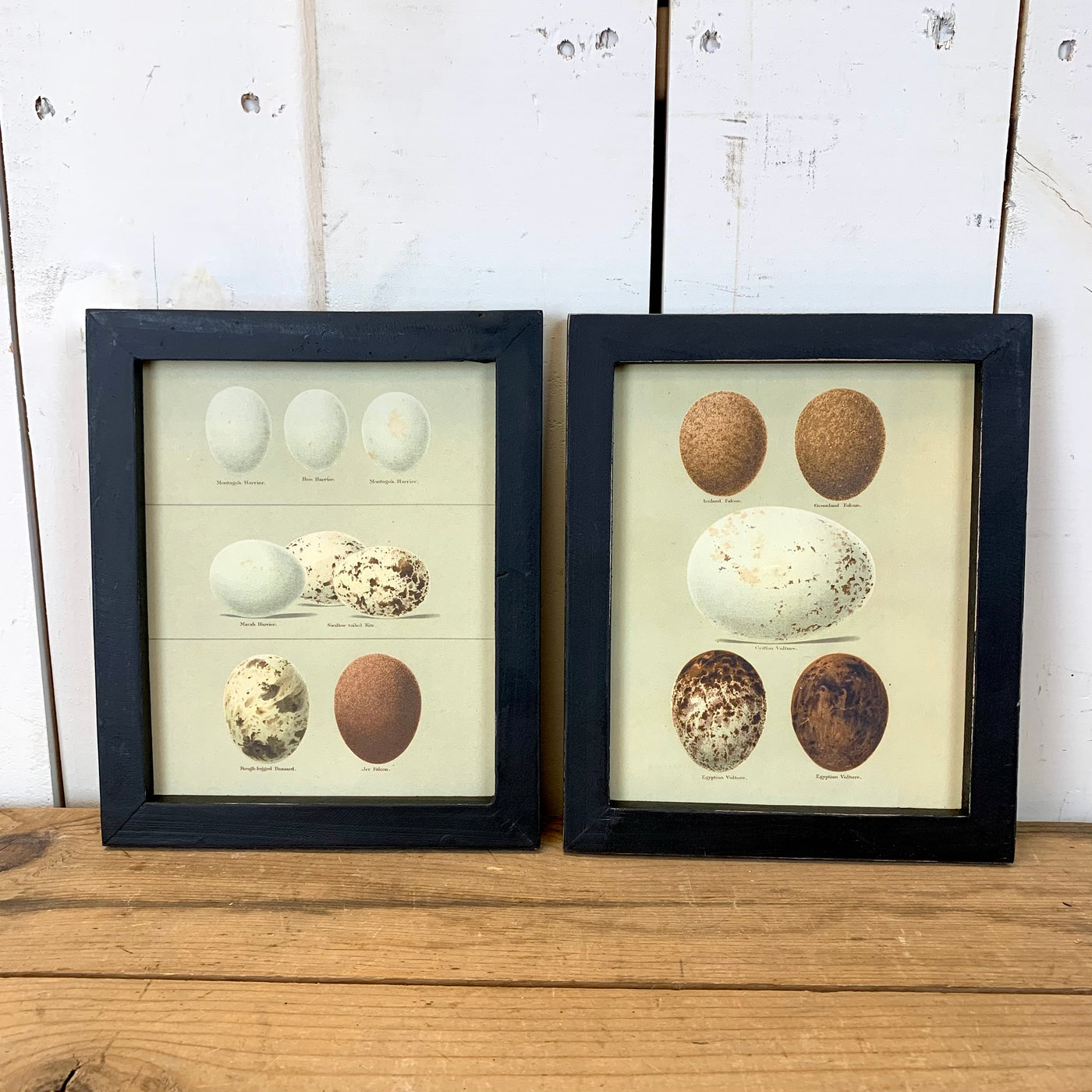 Black Frame Egg Wooden Wall Art, Set of 2
